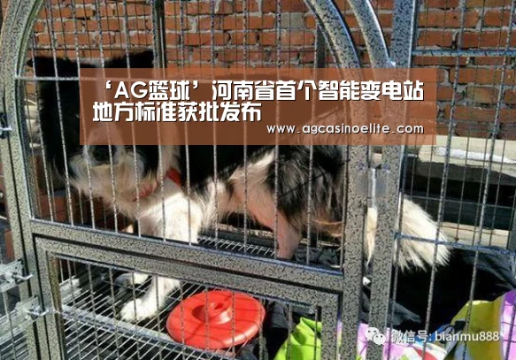 ‘AG篮球’河南省首个智能变电站地方标准获批发布(图2) AG棋牌
