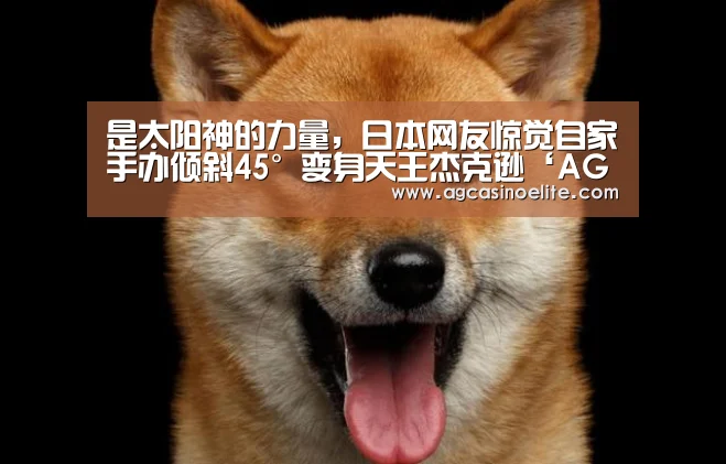 AG地址